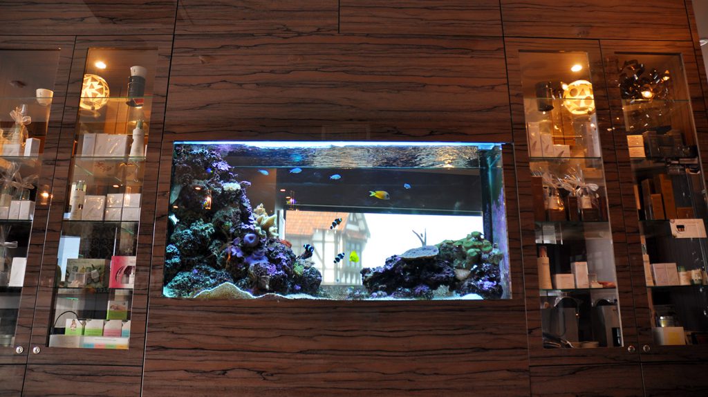 A fish tank at Ketura Day Spa, Nedlands, adds to the calming ambience.