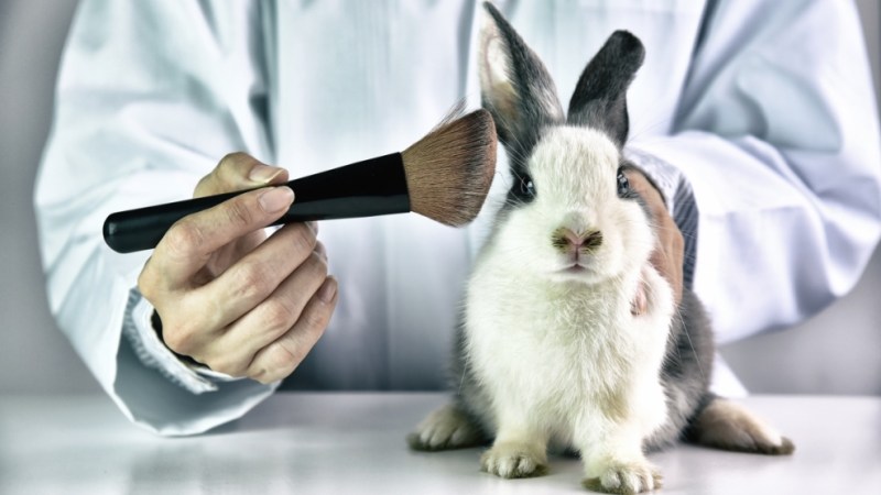 China approves animal testing alternatives