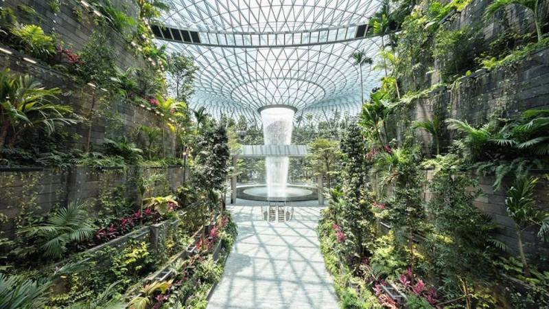 Shiseido opens giant forest in airport