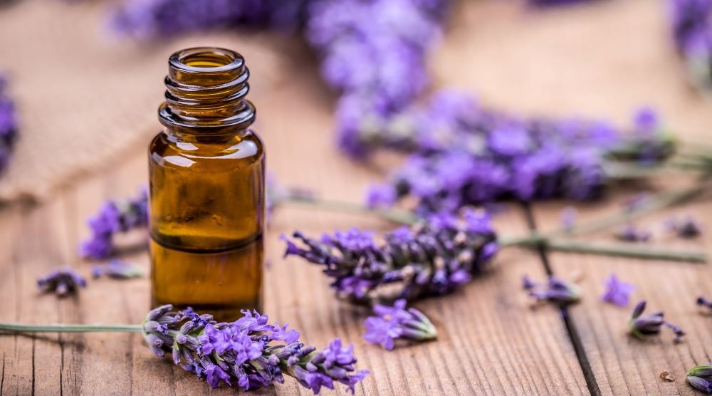 Lavender oil linked to abnormal breast growth 