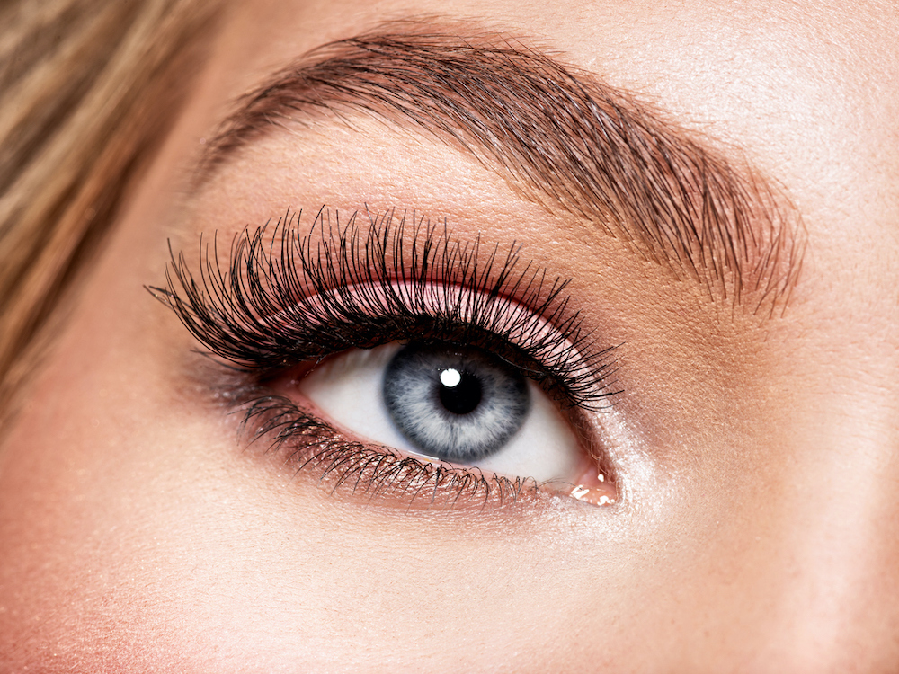 7 Lash and Brow Growth Brands to Stock in Salon Now