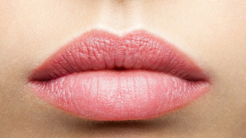 Fake the Lip Filler Look With These Pro Plumping Products