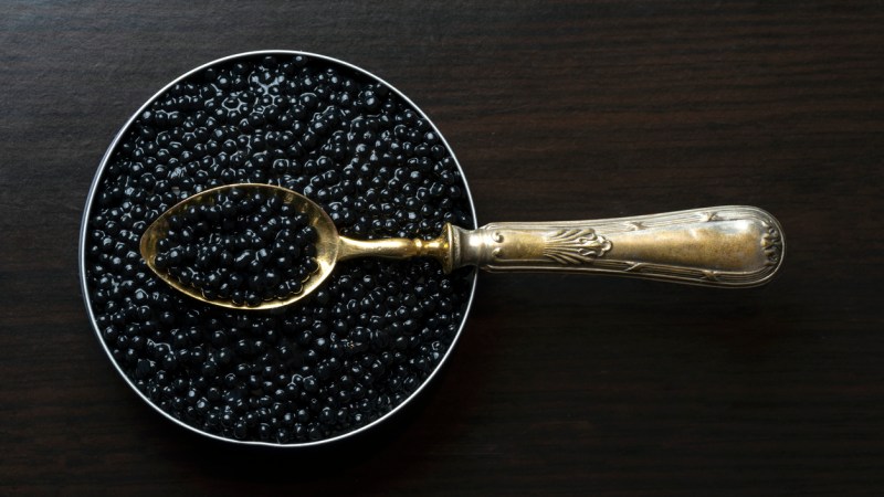 Caviar in Our Skincare: Is It Worth the Hype?