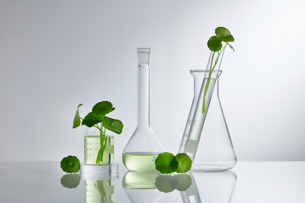 Ingredient Spotlight: Centella Provides a Natural Solve for Multiple Skin Issues