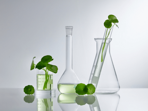 Ingredient Spotlight: Centella Provides a Natural Solve for Multiple Skin Issues
