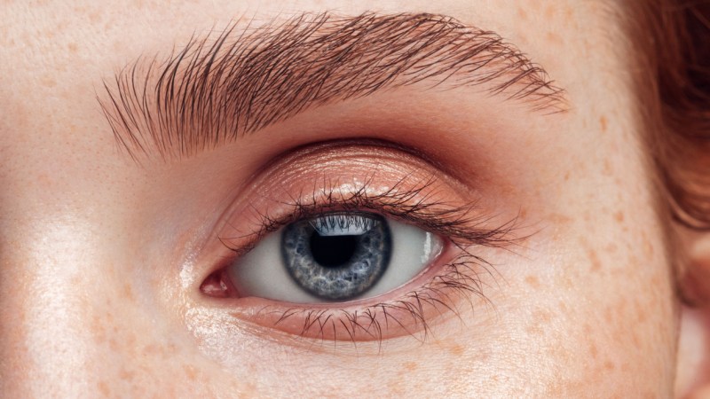 This Influential Beauty Therapist Says This Is the Best EyEnvy Replacement